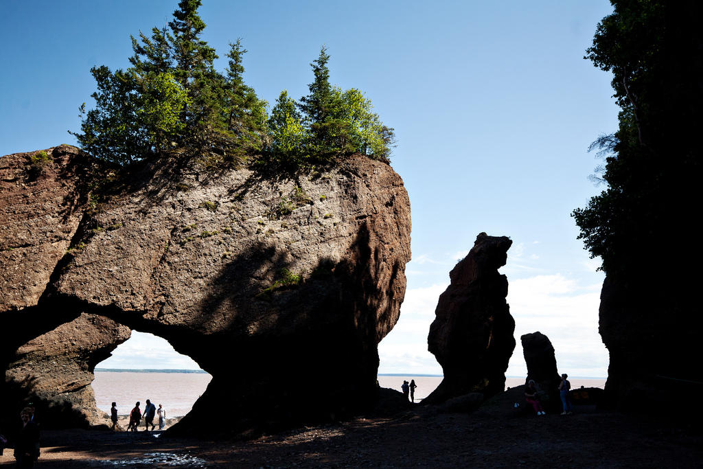 Фотография: Природное чудо - скалы Хоупвелл в заливе Фанди №6 - BigPicture.ru