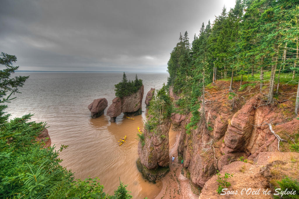 Фотография: Природное чудо - скалы Хоупвелл в заливе Фанди №4 - BigPicture.ru