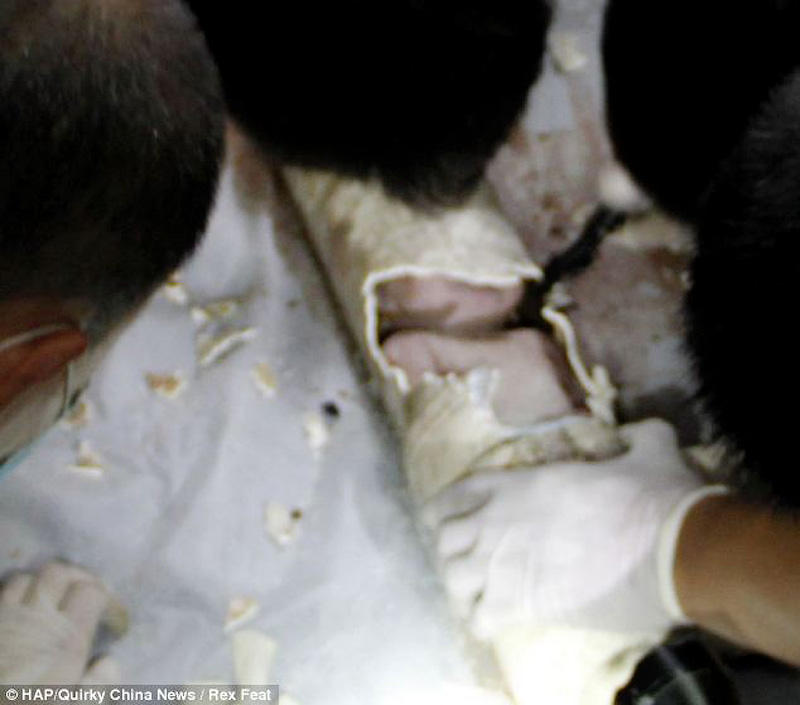 Фотография: В Китае спасли новорожденного, которого смыли в унитаз №5 - BigPicture.ru