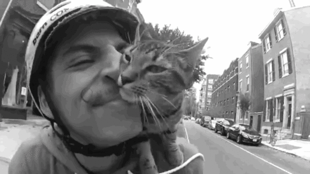 Фотография: Велосипедист и его кошка №21 - BigPicture.ru