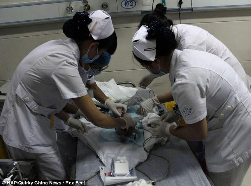 Фотография: В Китае спасли новорожденного, которого смыли в унитаз №11 - BigPicture.ru