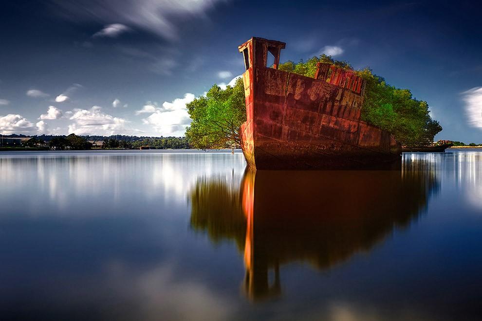 Фотография: Заброшенное судно SS Ayrfield - плавающий мангровый лес №2 - BigPicture.ru