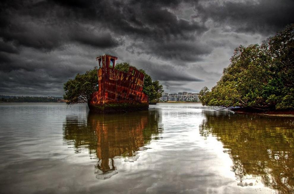 Фотография: Заброшенное судно SS Ayrfield - плавающий мангровый лес №4 - BigPicture.ru