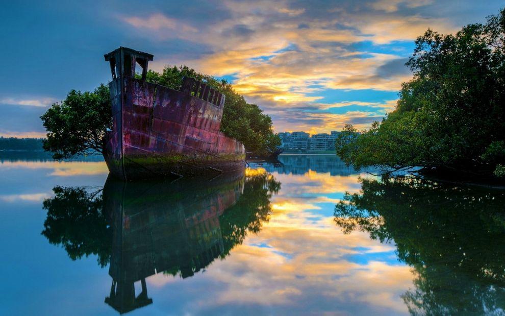 Фотография: Заброшенное судно SS Ayrfield - плавающий мангровый лес №11 - BigPicture.ru