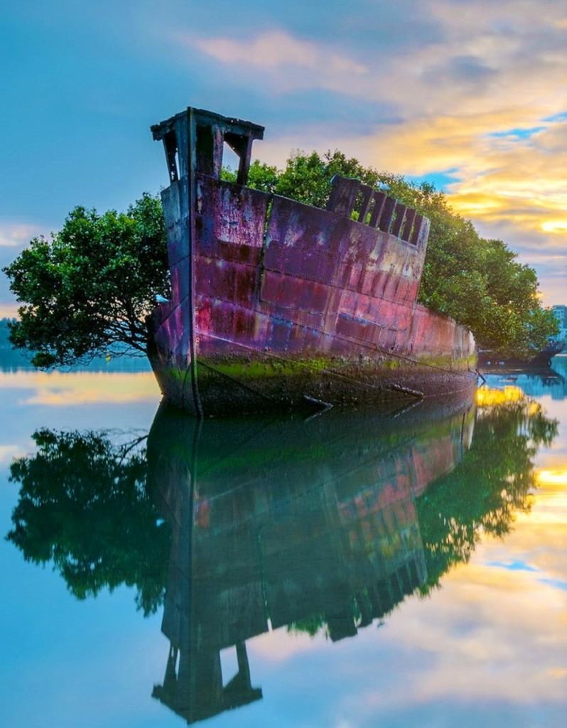 Фотография: Заброшенное судно SS Ayrfield - плавающий мангровый лес №15 - BigPicture.ru