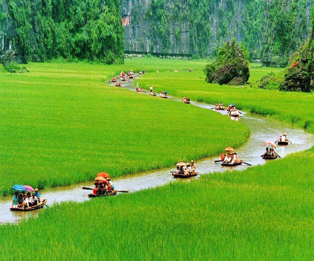Фотография: Горы и рисовые поля Там Кок №8 - BigPicture.ru