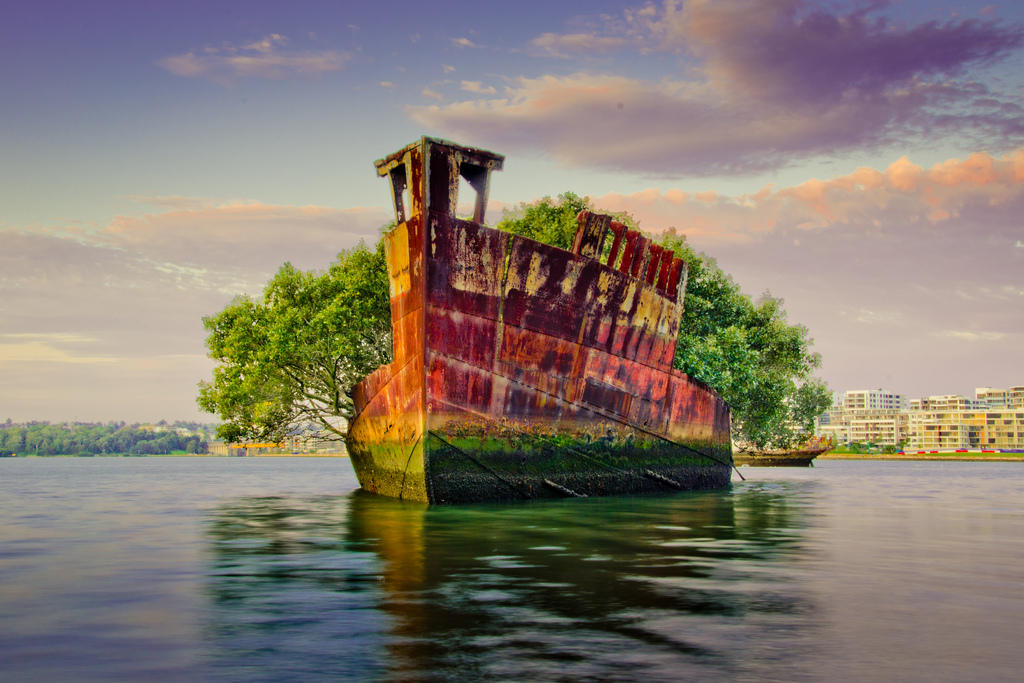 Фотография: Заброшенное судно SS Ayrfield - плавающий мангровый лес №13 - BigPicture.ru
