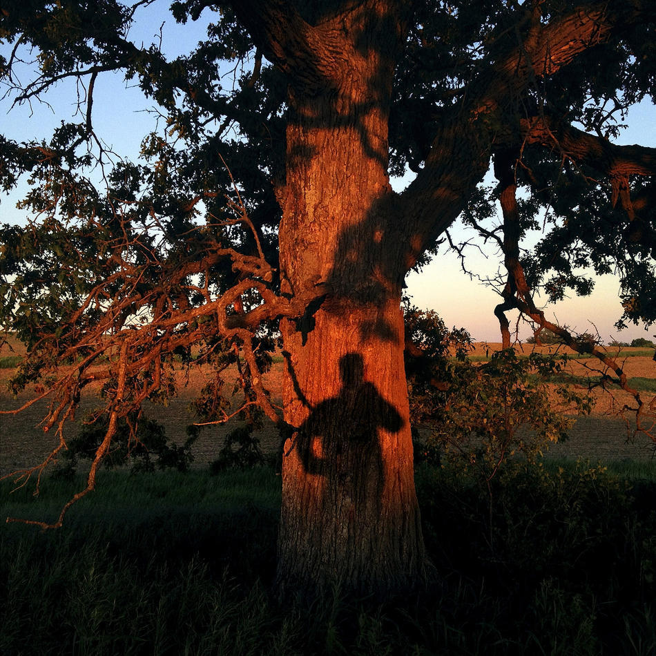 Фотография: Год из жизни одного дерева №7 - BigPicture.ru