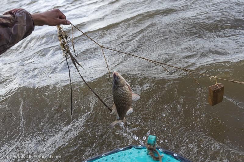 Фотография: Браконьерская рыбалка в Астрахани №1 - BigPicture.ru