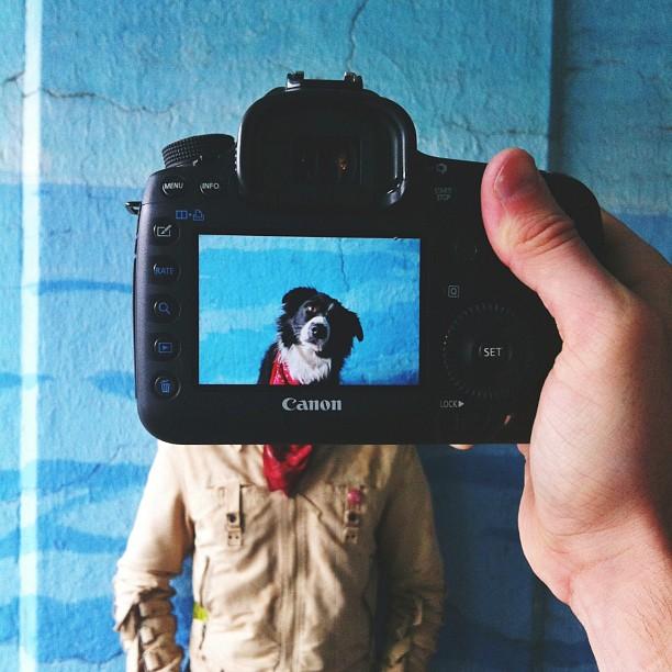 Фотография: Владельцы домашних животных и их питомцы в причудливом фотопроекте #petheadz №5 - BigPicture.ru