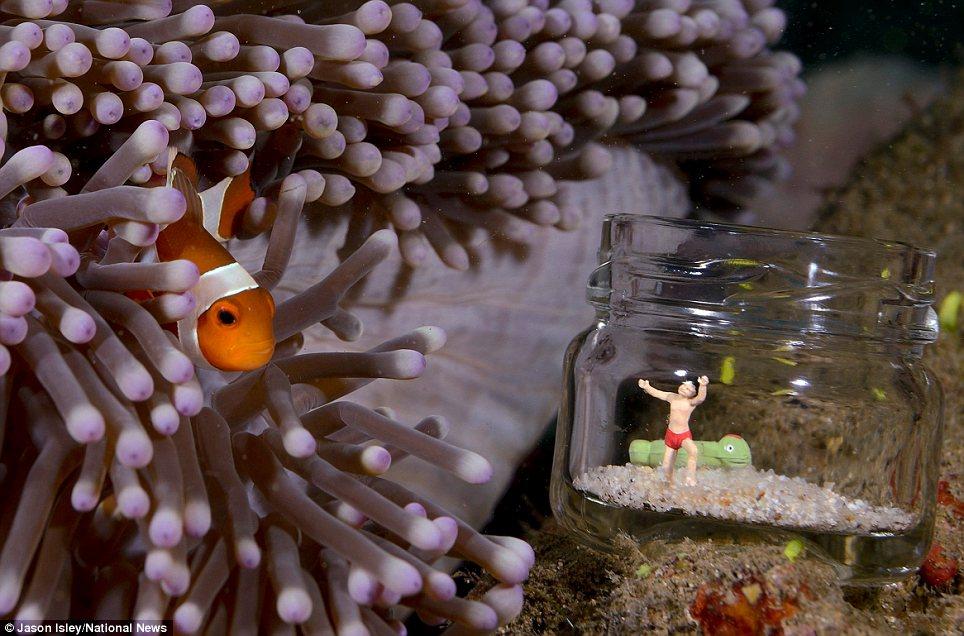 Фотография: Подводная жизнь игрушек №8 - BigPicture.ru