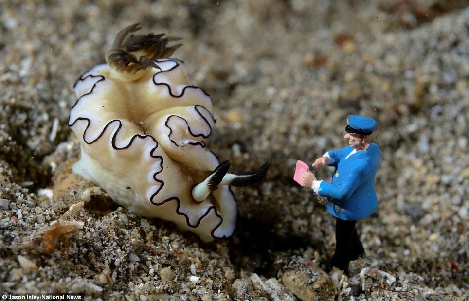 Фотография: Подводная жизнь игрушек №10 - BigPicture.ru