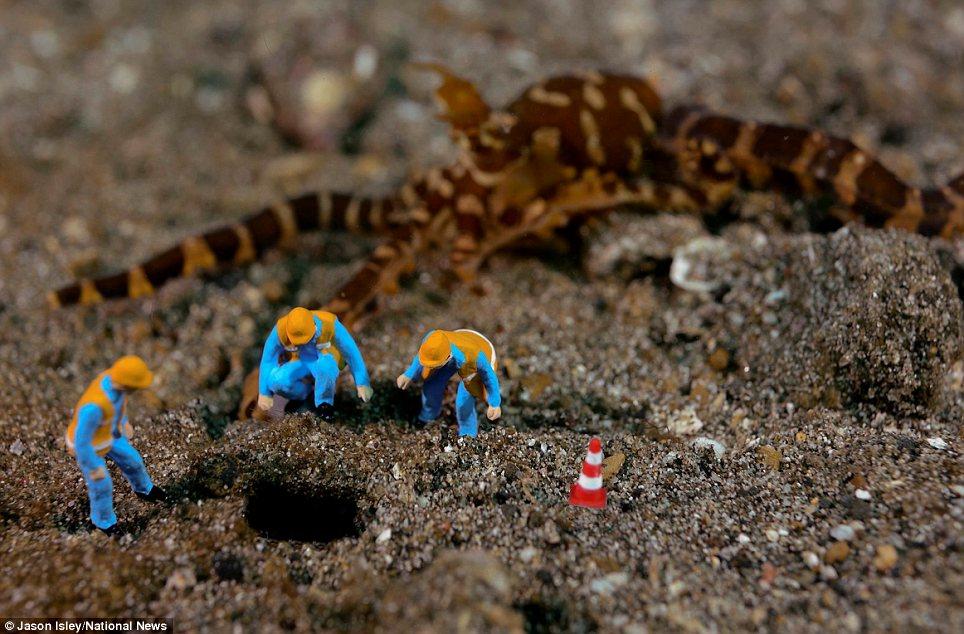 Фотография: Подводная жизнь игрушек №20 - BigPicture.ru