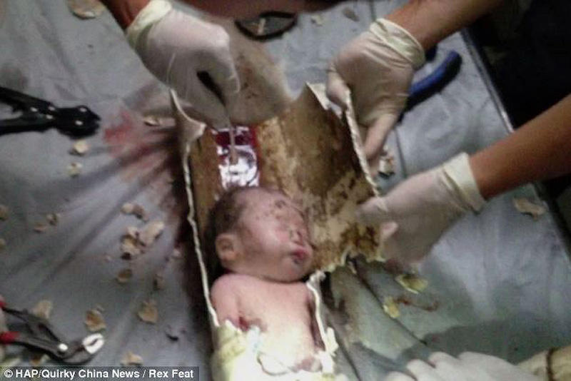Фотография: В Китае спасли новорожденного, которого смыли в унитаз №7 - BigPicture.ru