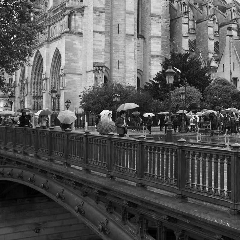 Фотография: Самые романтичные зонтики Парижа №4 - BigPicture.ru