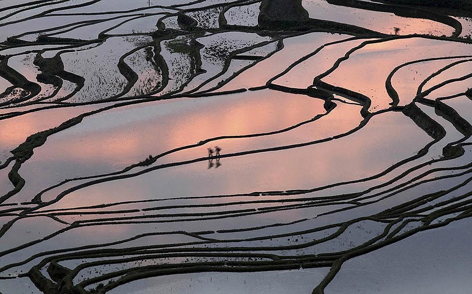 Фотография: Рисовые террасы Хунхэ-Хани включены в Список Всемирного наследия ЮНЕСКО №2 - BigPicture.ru