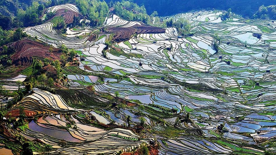 Фотография: Рисовые террасы Хунхэ-Хани включены в Список Всемирного наследия ЮНЕСКО №3 - BigPicture.ru