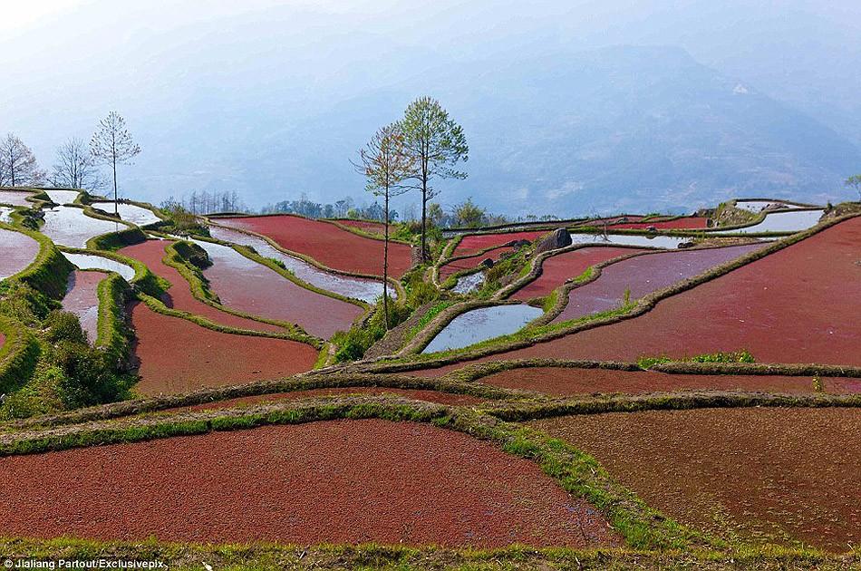 Фотография: Рисовые террасы Хунхэ-Хани включены в Список Всемирного наследия ЮНЕСКО №5 - BigPicture.ru
