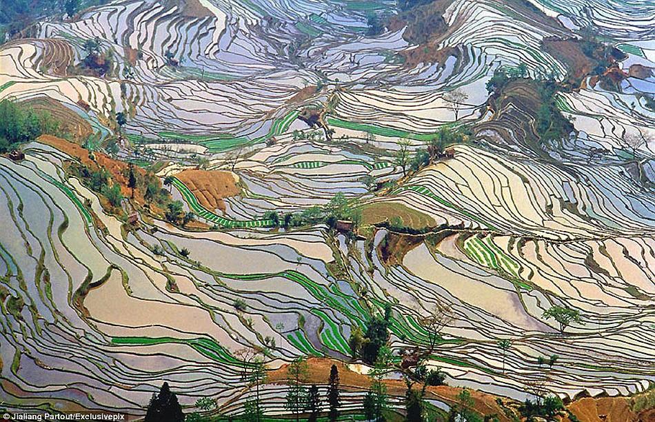 Фотография: Рисовые террасы Хунхэ-Хани включены в Список Всемирного наследия ЮНЕСКО №6 - BigPicture.ru