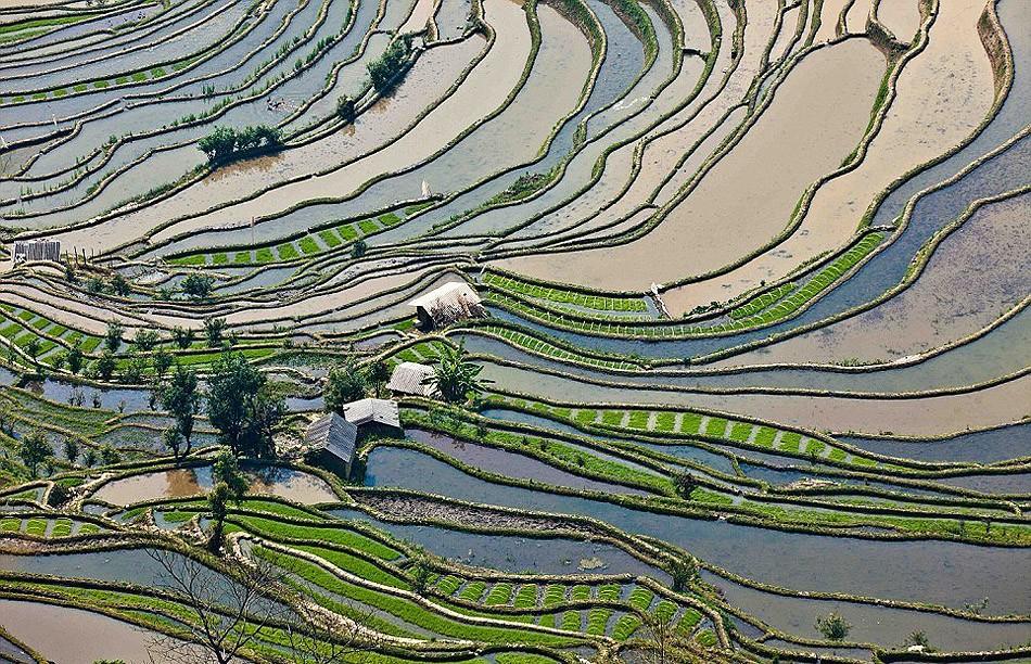 Фотография: Рисовые террасы Хунхэ-Хани включены в Список Всемирного наследия ЮНЕСКО №7 - BigPicture.ru