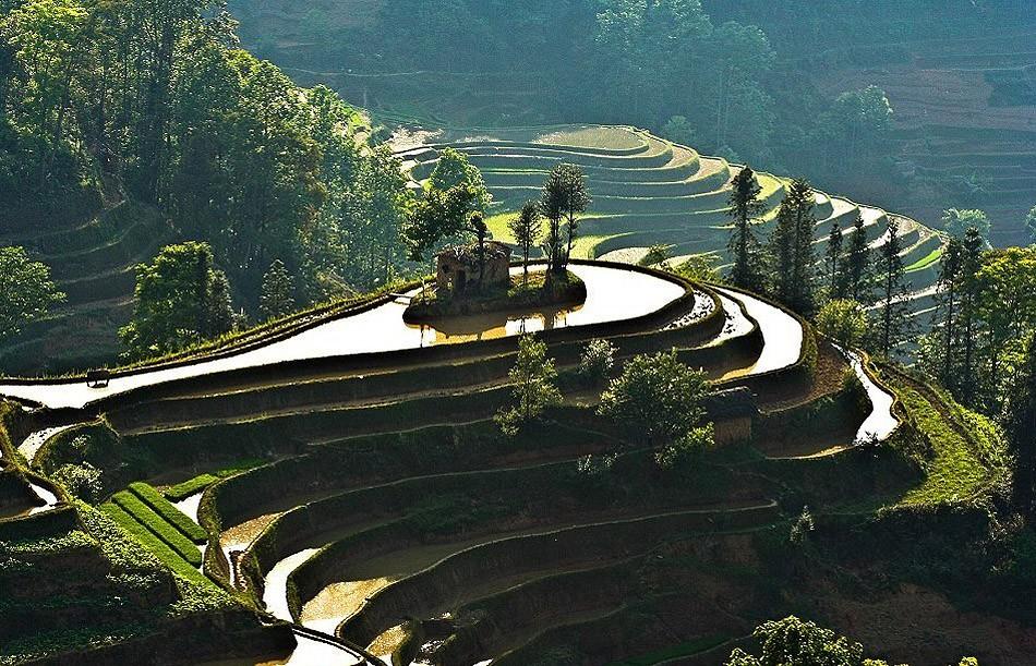 Фотография: Рисовые террасы Хунхэ-Хани включены в Список Всемирного наследия ЮНЕСКО №8 - BigPicture.ru