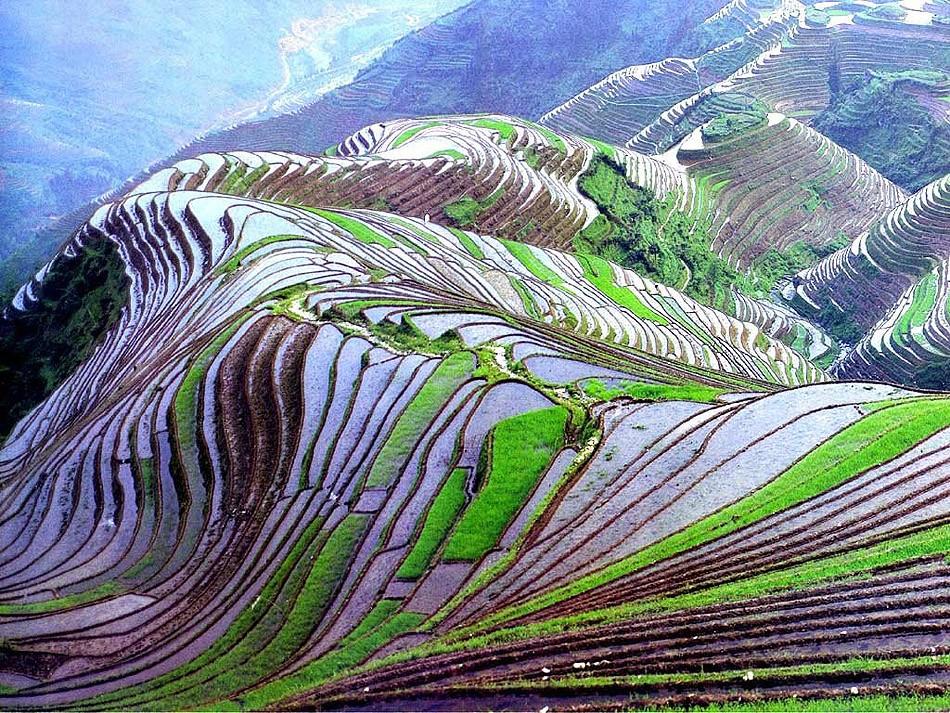 Фотография: Рисовые террасы Хунхэ-Хани включены в Список Всемирного наследия ЮНЕСКО №9 - BigPicture.ru