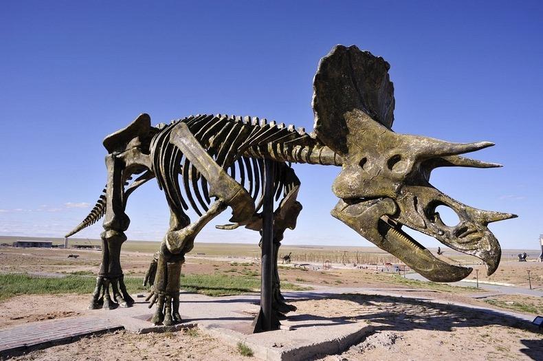 Фотография: Целующиеся динозавры Эрэн-Хото в Китае №8 - BigPicture.ru