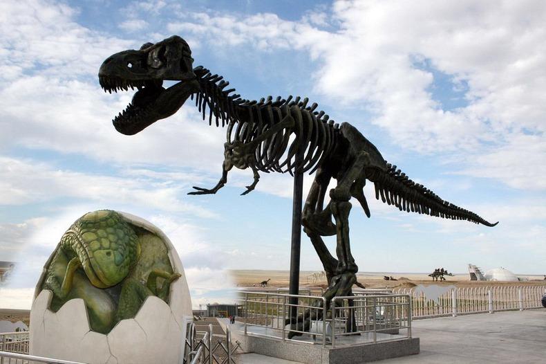 Фотография: Целующиеся динозавры Эрэн-Хото в Китае №9 - BigPicture.ru