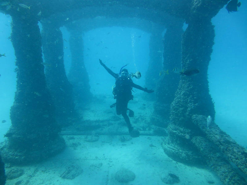 Фотография: Мемориал Нептуна: подводное кладбище у берегов Флориды №14 - BigPicture.ru