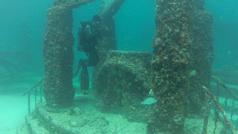 Фотография: Мемориал Нептуна: подводное кладбище у берегов Флориды №10 - BigPicture.ru