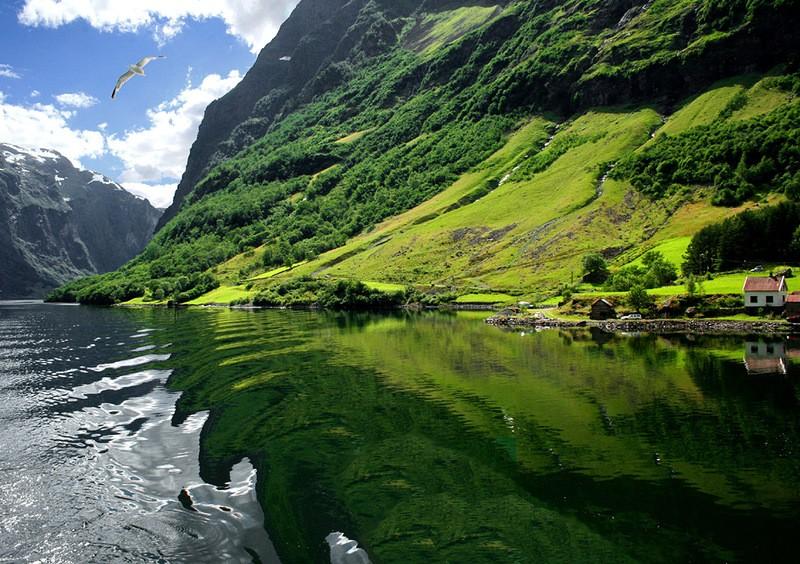 Фотография: Самые красивые фьорды Норвегии №2 - BigPicture.ru