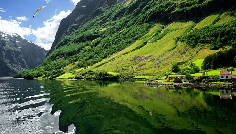 Фотография: Самые красивые фьорды Норвегии №1 - BigPicture.ru