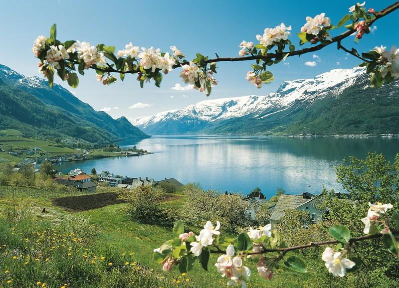 Фотография: Самые красивые фьорды Норвегии №19 - BigPicture.ru