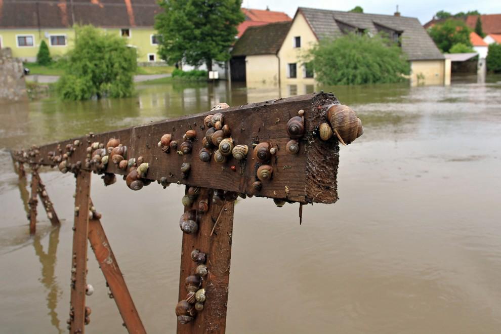 Фотография: Наводнения в Европе №31 - BigPicture.ru