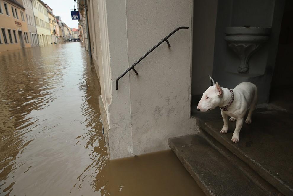Фотография: Наводнения в Европе №32 - BigPicture.ru