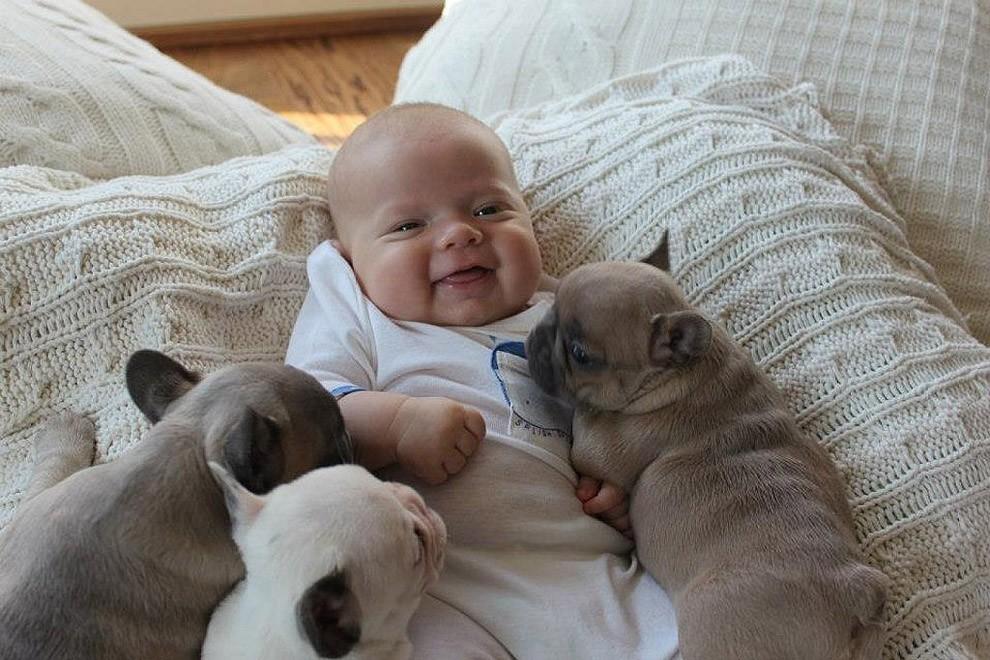 Фотография: 10 самых трогательных историй общения детей и животных №3 - BigPicture.ru