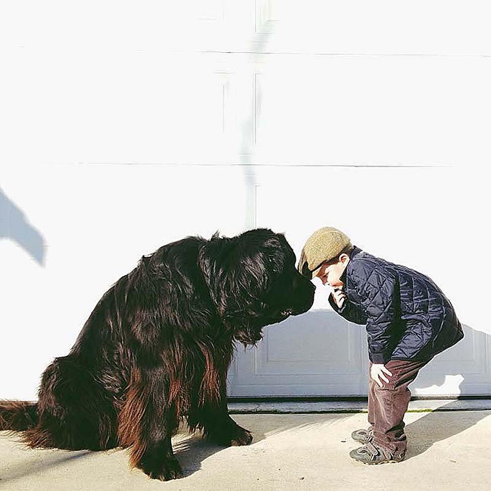 Фотография: 10 самых трогательных историй общения детей и животных №5 - BigPicture.ru