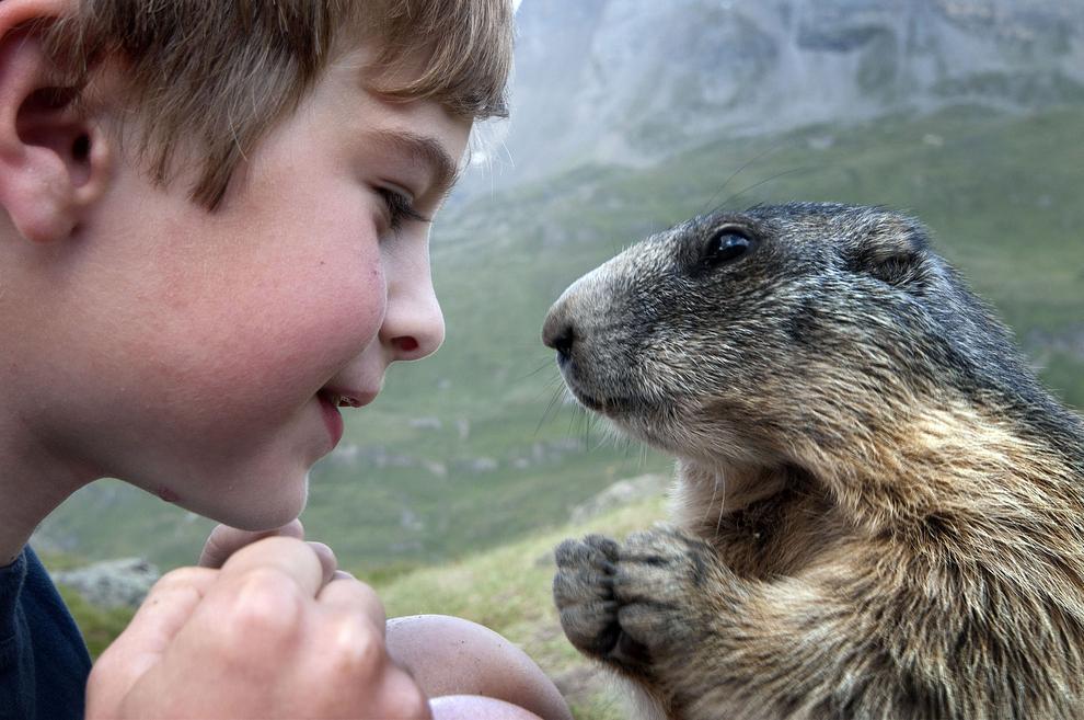 Фотография: 10 самых трогательных историй общения детей и животных №10 - BigPicture.ru