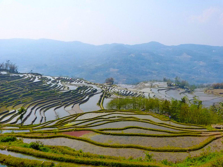 Фотография: Рисовые террасы Хунхэ-Хани включены в Список Всемирного наследия ЮНЕСКО №15 - BigPicture.ru