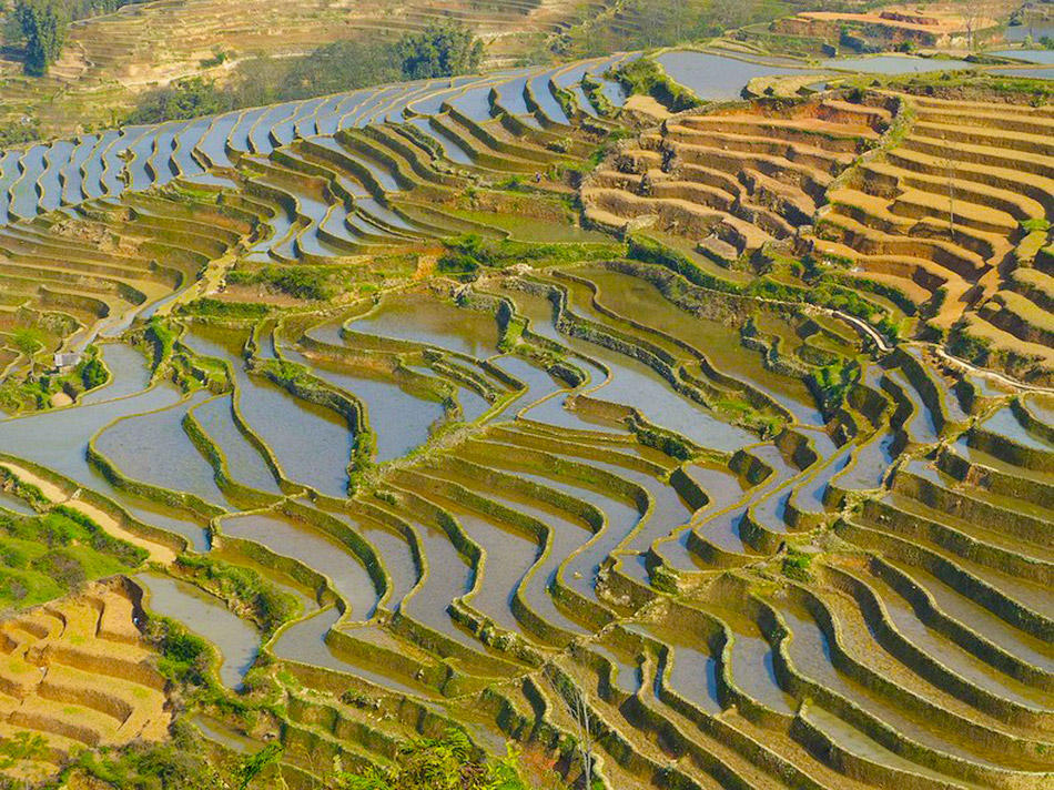 Фотография: Рисовые террасы Хунхэ-Хани включены в Список Всемирного наследия ЮНЕСКО №12 - BigPicture.ru