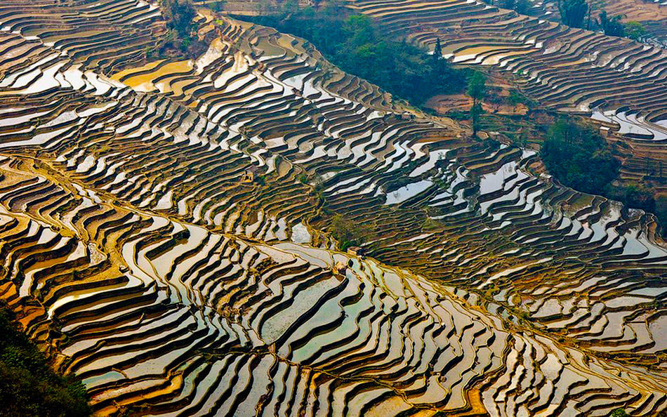 Фотография: Рисовые террасы Хунхэ-Хани включены в Список Всемирного наследия ЮНЕСКО №13 - BigPicture.ru