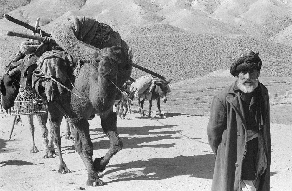Фотография: Афганистан 50-х и 60-х годов №30 - BigPicture.ru