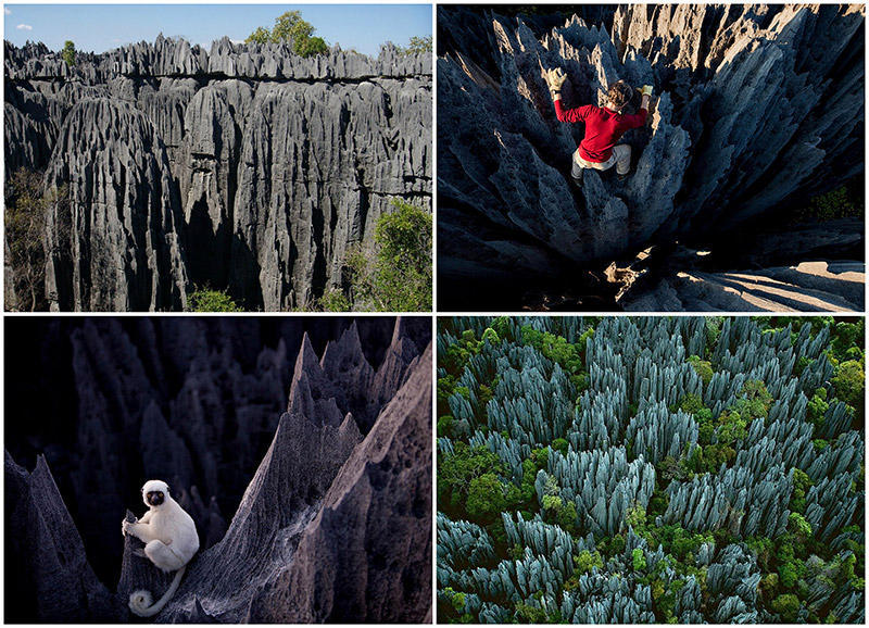 Фотография: Каменный лес на Мадагаскаре №1 - BigPicture.ru