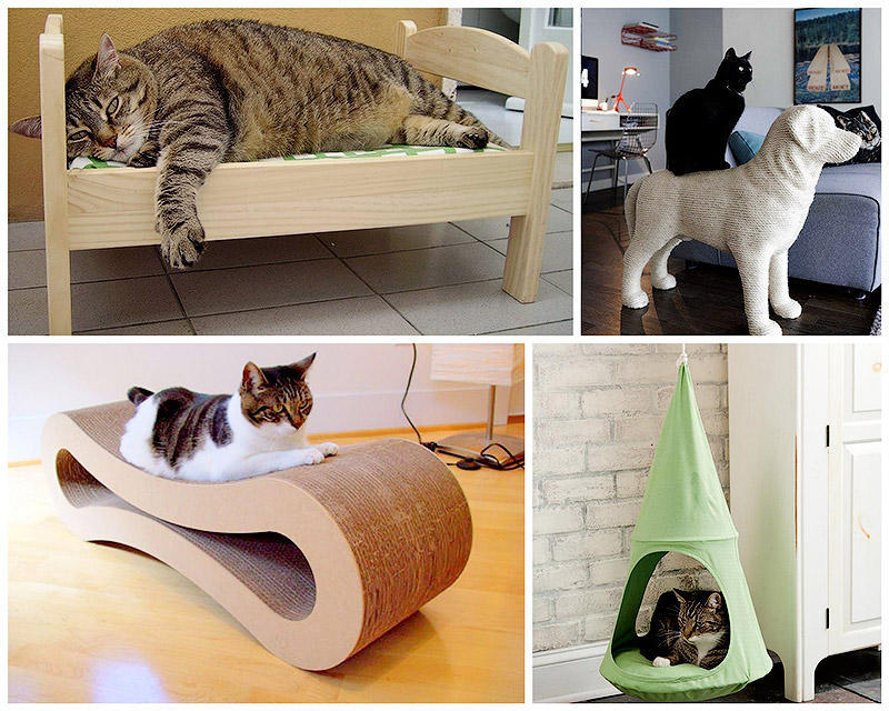 Фотография: Дизайн для котов №1 - BigPicture.ru