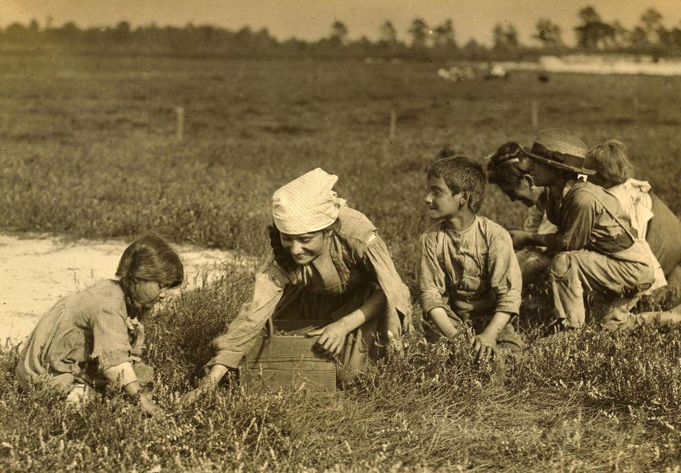 Фотография: Детский труд в Америке в начале 20-го века №8 - BigPicture.ru