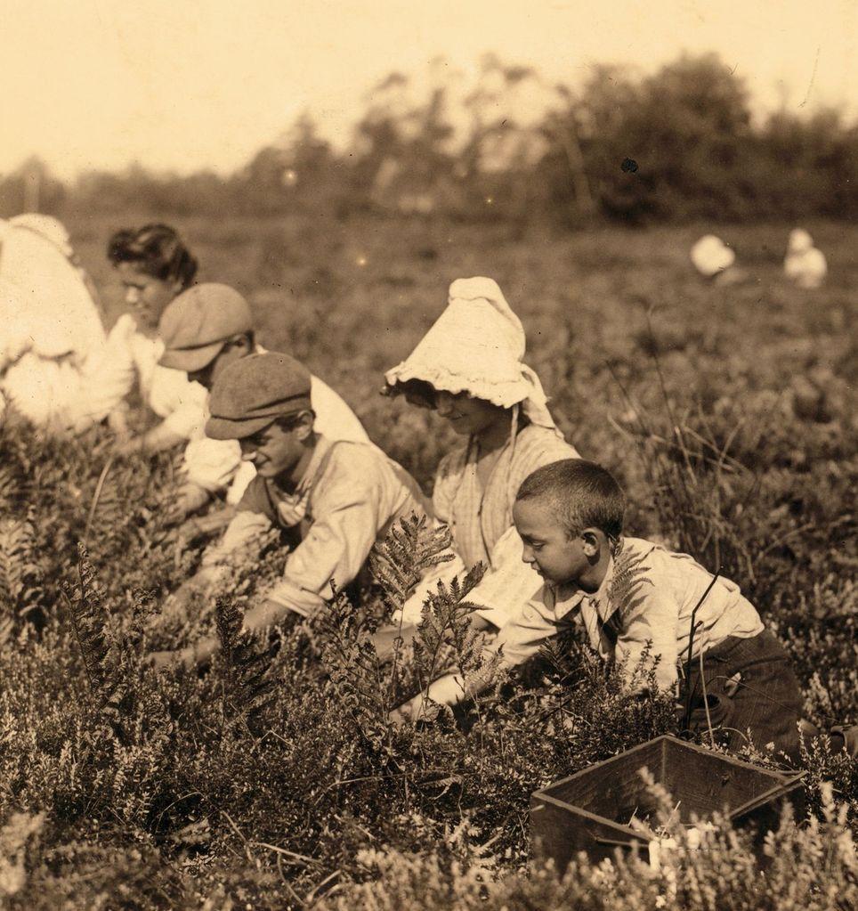 Фотография: Детский труд в Америке в начале 20-го века №14 - BigPicture.ru