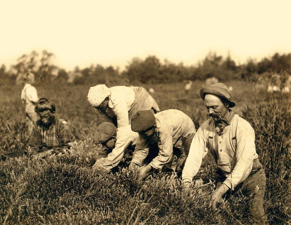 Фотография: Детский труд в Америке в начале 20-го века №15 - BigPicture.ru