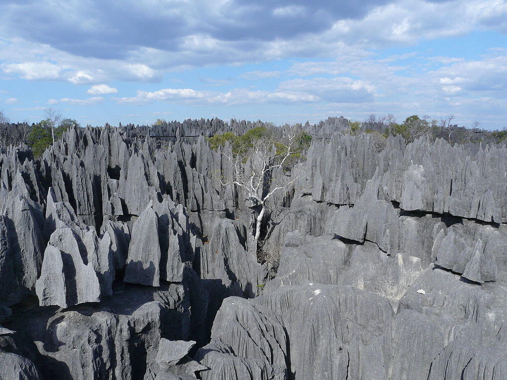 Фотография: Каменный лес на Мадагаскаре №12 - BigPicture.ru