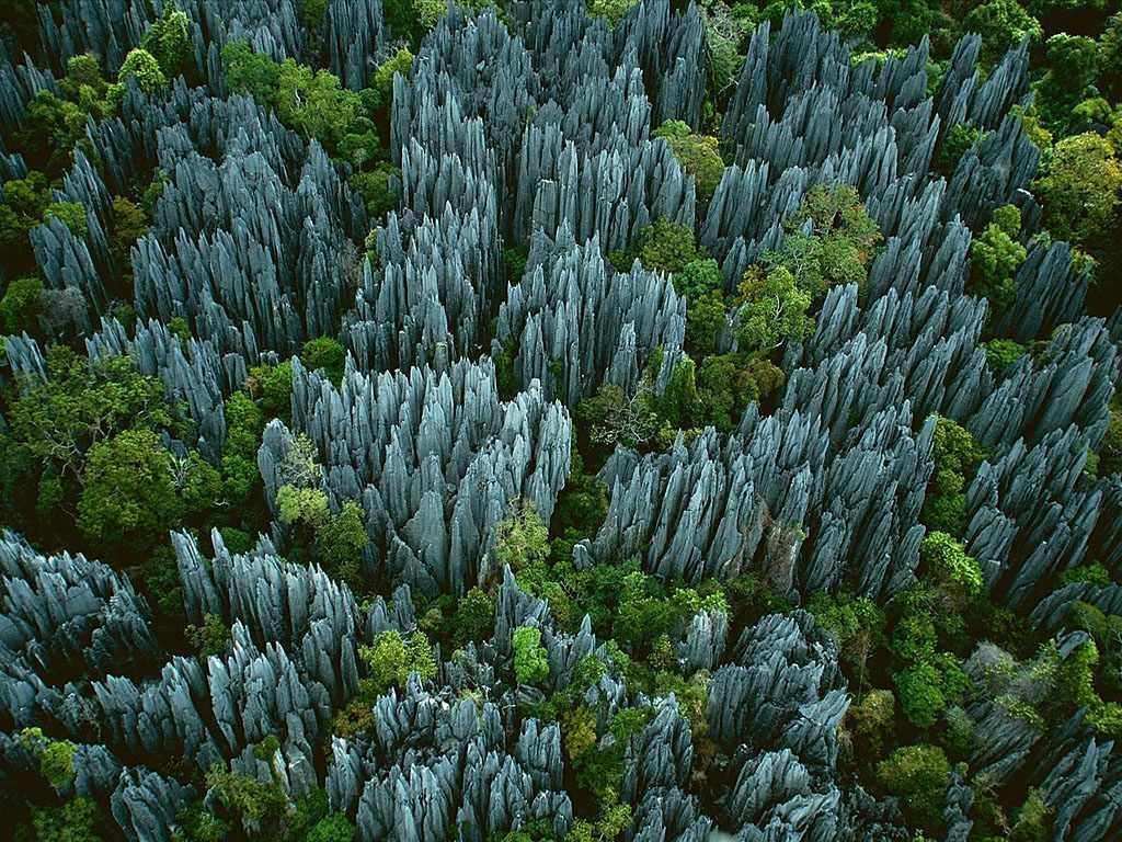 Фотография: Каменный лес на Мадагаскаре №2 - BigPicture.ru
