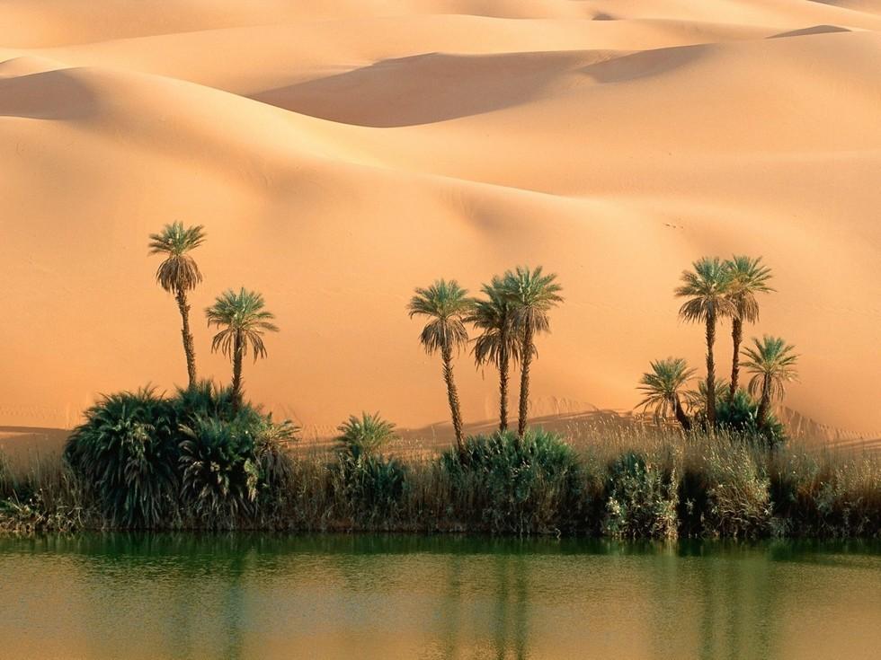 Фотография: Сказочный оазис в африканской пустыне: озера Убари №6 - BigPicture.ru